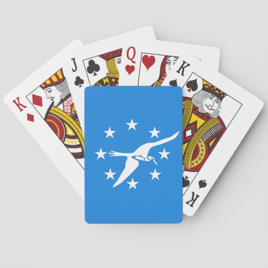 Jeu De Cartes Drapeau de Corpus Christi, Texas (dos)