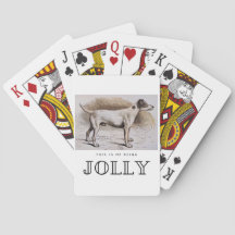 Drôle, c’est moi être joli Ce chien ne chasse pas