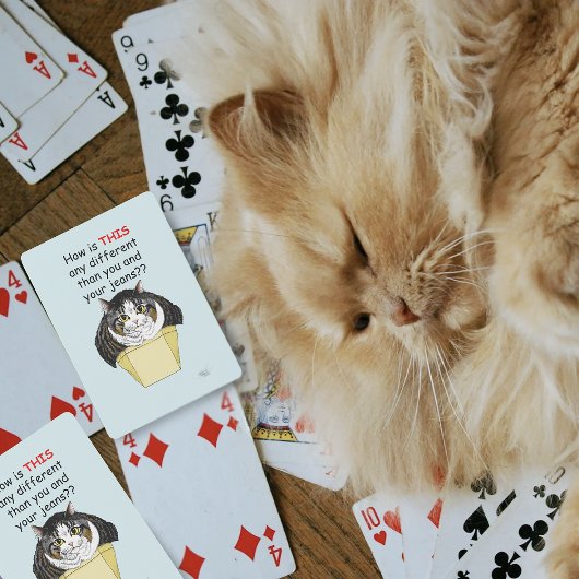 Jeu De Cartes Drôle Chubby Tabby Boîte à chat