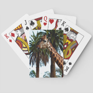 Jeu De Cartes Drôle Giraffe Possédant La Langue,