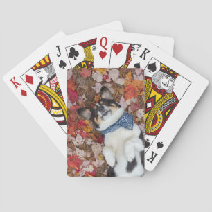 Jeu De Cartes Drôle, mignon, regard de corgi
