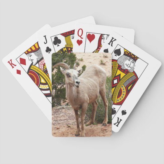 Jeu De Cartes Drôle Mouton de Bighorn dans le parc national Zion (dos)