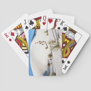 Jeu De Cartes Dunes transversales et Yucca à feuilles de savon