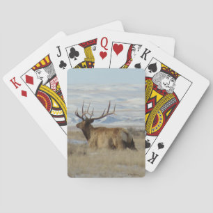 Jeu De Cartes E22 Élan mâle et collines enneigées