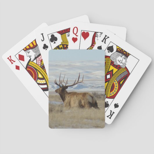 Jeu De Cartes E22 Élan mâle et collines enneigées (dos)