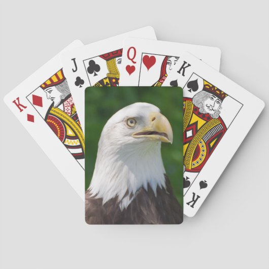 Jeu De Cartes Eagle chauve (dos)
