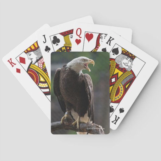 Jeu De Cartes Eagle chauve appelle (dos)