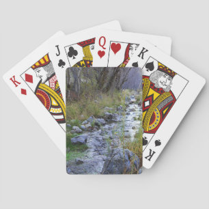 Jeu De Cartes East Fork/Hayfork creek......