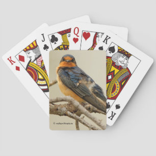 Jeu De Cartes Échanger des regards avec une hirondelle rustique