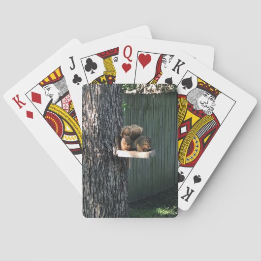 Jeu De Cartes Écureuil (dos)