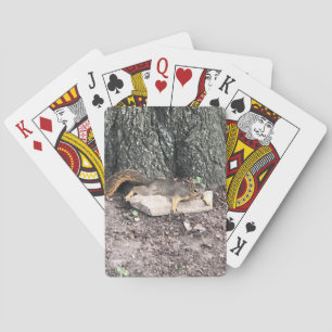 Jeu De Cartes Écureuil