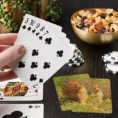Jeu De Cartes Écureuil de fond colombien mignon dans l'herbe (In Situ)