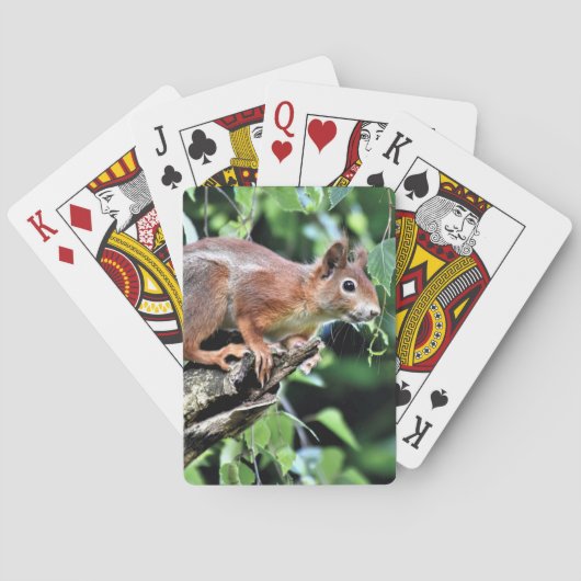 Jeu De Cartes Écureuil rouge dans l'arbre (dos)