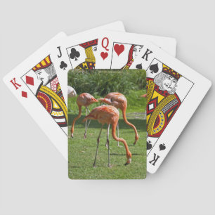Jeu De Cartes Effet de dessin de portrait de flamant rose Art