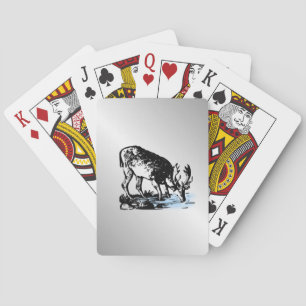 Jeu De Cartes Élan dans le ruisseau