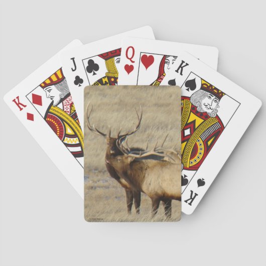 Jeu De Cartes Élan mâle E24 (dos)