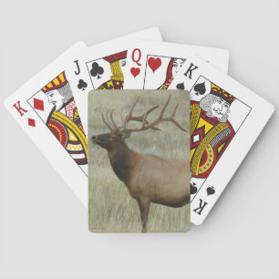Jeu De Cartes Élan mâle E8 sous le velours