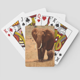 Jeu De Cartes Eléphant