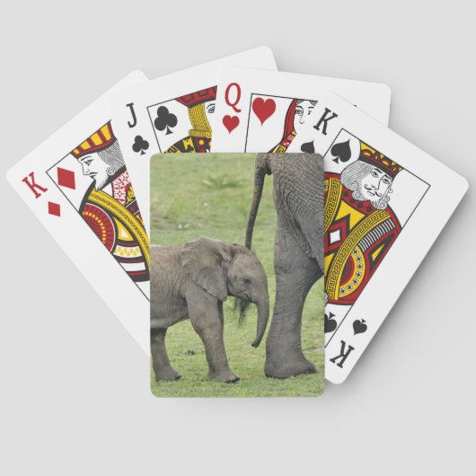 Jeu De Cartes Eléphant africain avec bébé (dos)