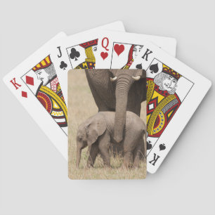 Jeu De Cartes Eléphant Bébé Africain avec mère