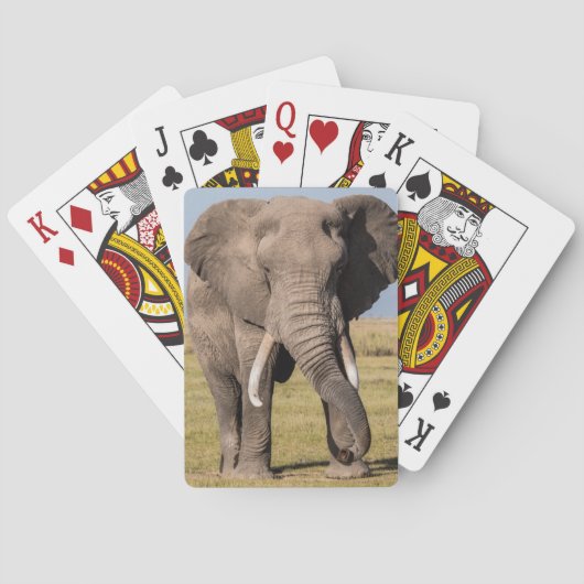 Jeu De Cartes Éléphant dans une pose agressive (dos)