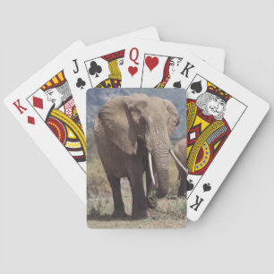 Jeu De Cartes Éléphant de mère marchant avec le veau d'éléphant