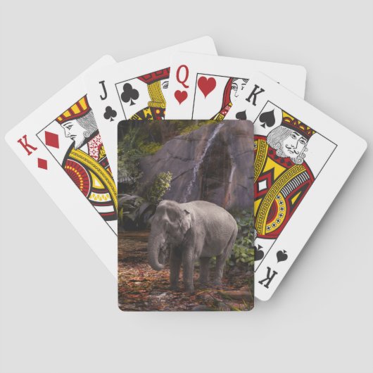 Jeu De Cartes Elephant Family RAIN FOREST PARTI (dos)