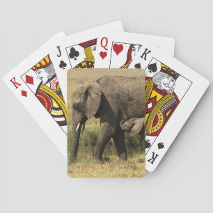 Jeu De Cartes Éléphants africains