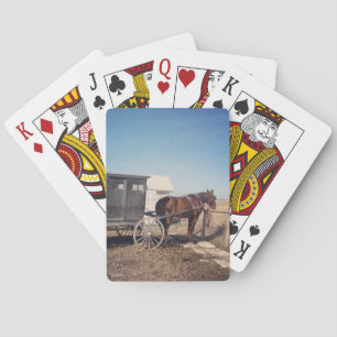 Jeu De Cartes En attente Cheval Amish et Buggy