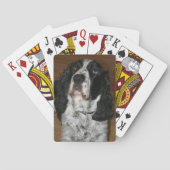 Jeu De Cartes English Springer Spaniel Pet Photo (dos)