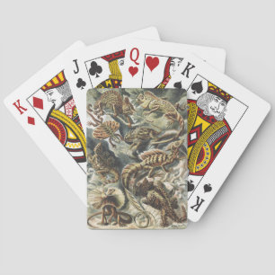 Jeu De Cartes Ernst Haeckel Art Vintage Reptile Lézard Nature
