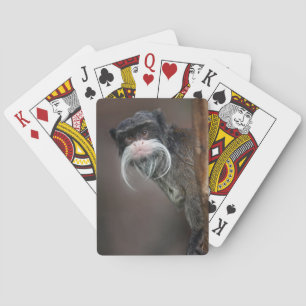Jeu De Cartes Es-Tu Mon Barbier ? Lecture de cartes