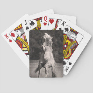 Jeu De Cartes Étalons de danse