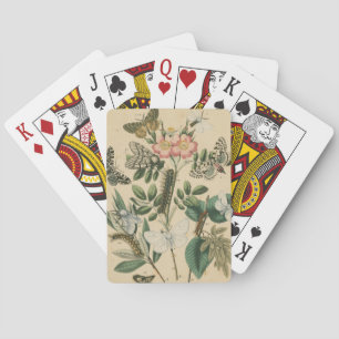Jeu De Cartes Étapes de la vie des papillons par Vision Studio
