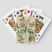 Étapes de la vie des papillons par Vision Studio