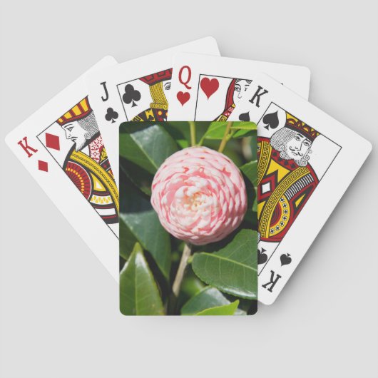 Jeu De Cartes États-Unis, Alabama, Theodore près de Mobile (dos)