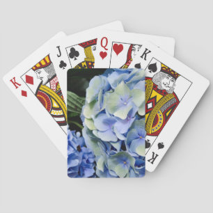 Jeu De Cartes États-Unis, Alabama, Theodore près de Mobile 2