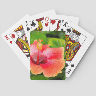 Jeu De Cartes États-Unis, Alabama, Theodore près de Mobile 4
