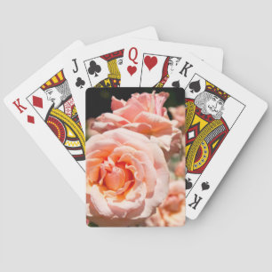 Jeu De Cartes États-Unis, Alabama, Théodore près de Mobile 5
