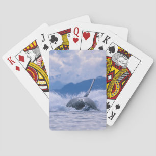 Jeu De Cartes États-Unis, Alaska, Tongass National Forest, Bossu