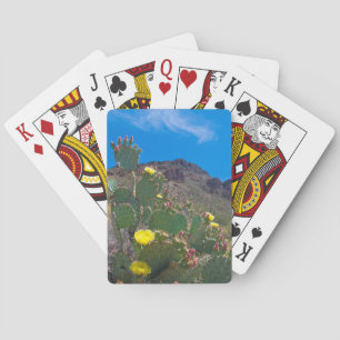 Jeu De Cartes États-Unis, Arizona. Cactus dans les collines