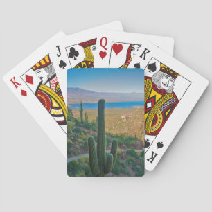 Jeu De Cartes États-Unis, Arizona. Vue depuis l'entrée de Tonto