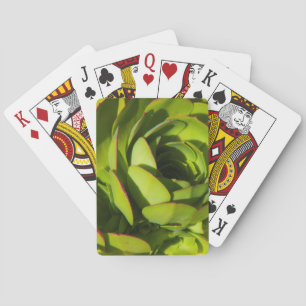 Jeu De Cartes États-Unis, Californie. Gros plan sur une plante d