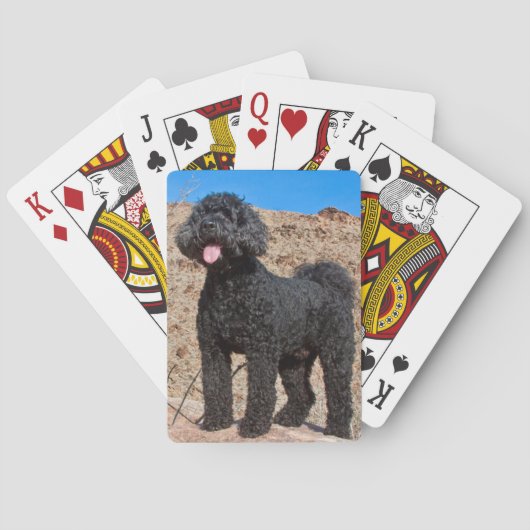 Jeu De Cartes États-Unis, Californie. Labradoodle (dos)