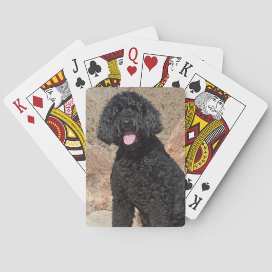 Jeu De Cartes États-Unis, Californie. Labradoodle assis (dos)