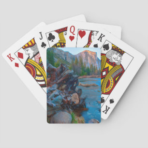 Jeu De Cartes États-Unis, Californie. Racines d'arbres dans la r