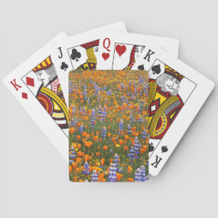 Jeu De Cartes États-Unis, Californie, Santa Margarita, Avenales