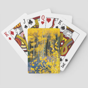 Jeu De Cartes États-Unis, Colorado. Jaunes brillants peupliers t
