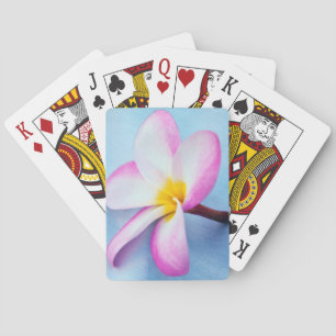 Jeu De Cartes États-Unis, Hawaï, Oahu, fleurs de Plumeria en fle