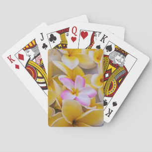 Jeu De Cartes États-Unis, Hawaï, Oahu, fleurs de Plumeria en fle